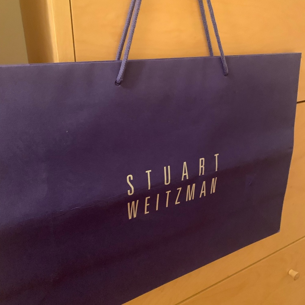Stuart Weitzman Large Shopping Gift Bag